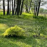 度假居 Sun& Relax- Tinyhouse