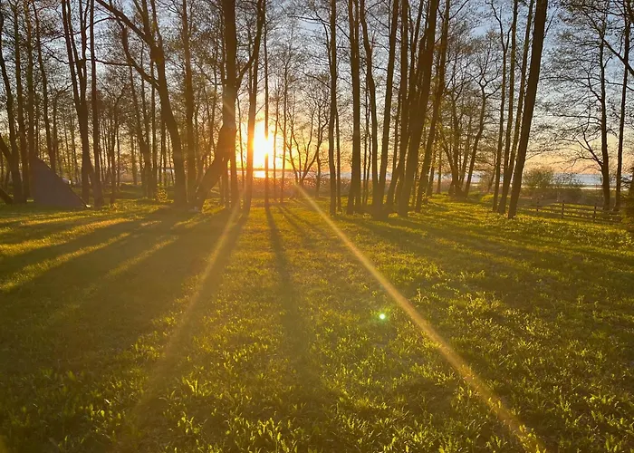Sun& Relax- Tinyhouse Soitme