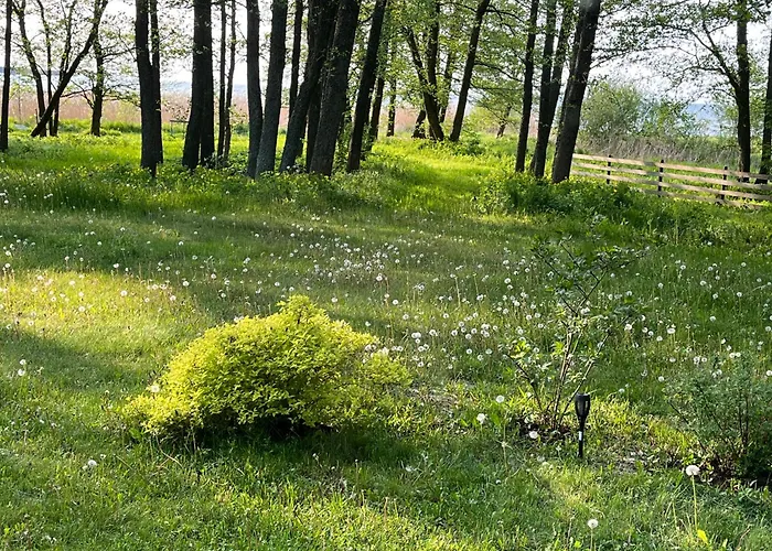 Дом отдыха Sun& Relax- Tinyhouse