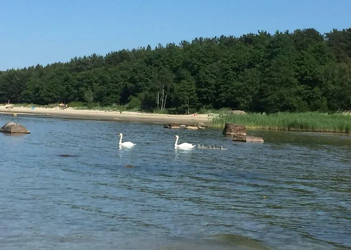 Sun& Relax- Tinyhouse 度假居 Syytme